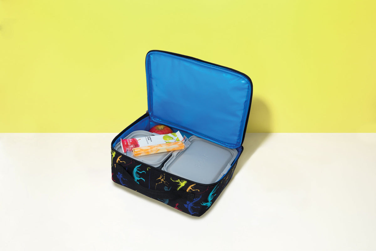 freezable-lunch-box-limited-edition-v4 2022_Lifestyle_Lunch-Box_Dino_Fossils2_Hires.jpg