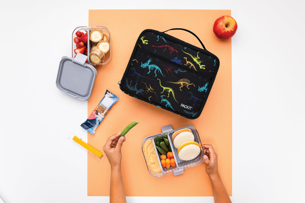 freezable-lunch-box-limited-edition-v4 2022_Lifestyle_Lunch-Box_Dino_Fossils_Hires.jpg